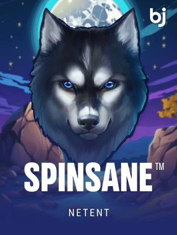 Spinsane™png icon